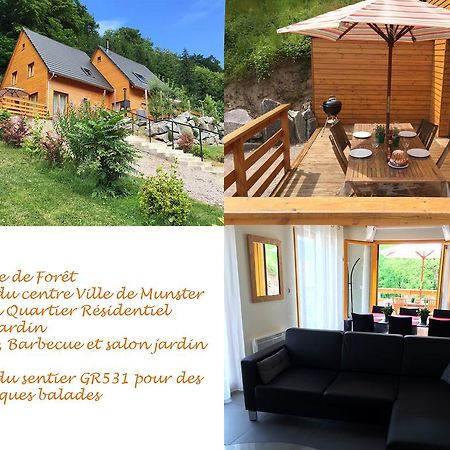 Le Chalet La Cigogne Et Le Chamois Munster  Ngoại thất bức ảnh