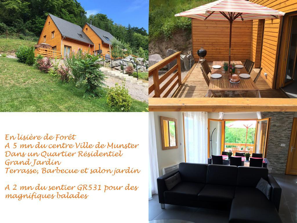 Le Chalet La Cigogne Et Le Chamois Munster  Ngoại thất bức ảnh